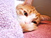 View full size picture