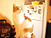 View full size picture