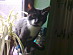 View full size picture