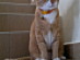 View full size picture