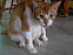 View full size picture