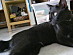 View full size picture