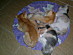 View full size picture