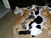 View full size picture