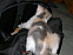 View full size picture
