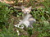 View full size picture