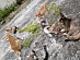 View full size picture
