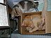 View full size picture