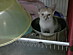 View full size picture