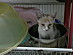 View full size picture