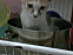 View full size picture