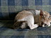 View full size picture