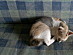 View full size picture