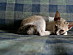 View full size picture