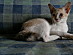 View full size picture