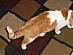 View full size picture