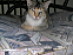 View full size picture