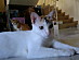 View full size picture
