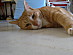 View full size picture