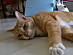 View full size picture