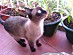 View full size picture