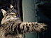 View full size picture