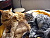View full size picture