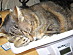 View full size picture