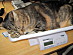 View full size picture