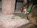 View full size picture