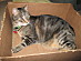 View full size picture