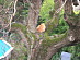 View full size picture