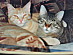 View full size picture