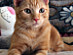 View full size picture