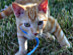 View full size picture