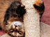 View full size picture