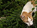 View full size picture