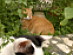 View full size picture