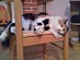 View full size picture