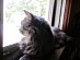 View full size picture