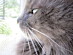 View full size picture