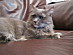 View full size picture