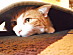 View full size picture
