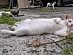 View full size picture