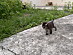 View full size picture