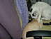 View full size picture