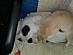 View full size picture
