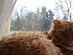 View full size picture