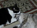View full size picture