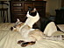 View full size picture